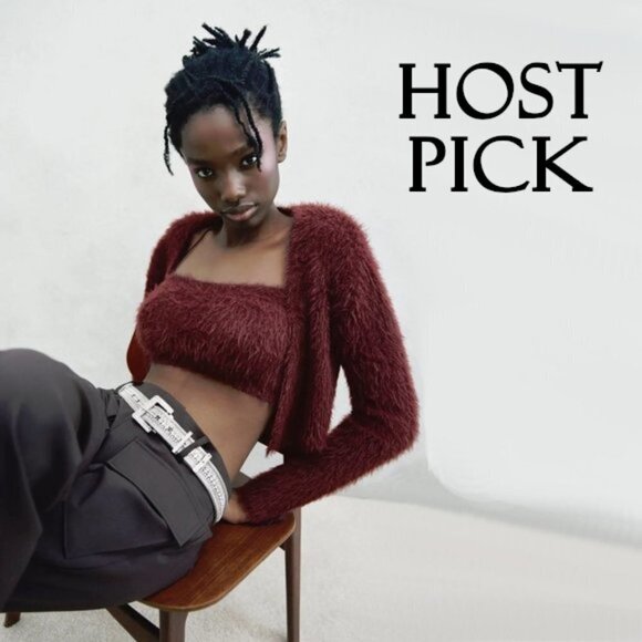 NWT Zara burgundy soft touch crop cardigan sweater, M - Picture 1 of 6